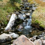 Mountain Run Off