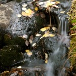 Gentle Flow of Time