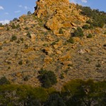 Pinnacles along the Creek