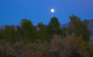 Stillwater NWR