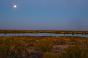 Stillwater NWR