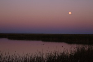 Stillwater NWR