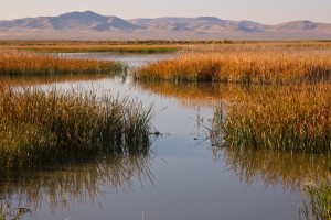 Stillwater NWR