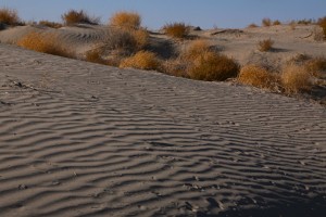 Stillwater NWR