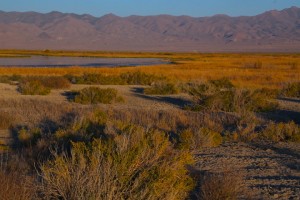 Stillwater NWR