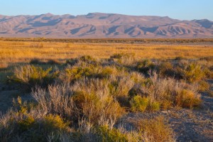 Stillwater NWR