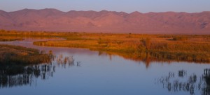 Stillwater NWR