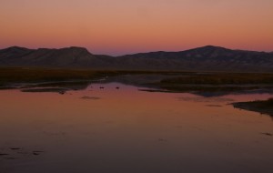 Ruby Lake N.W.R.