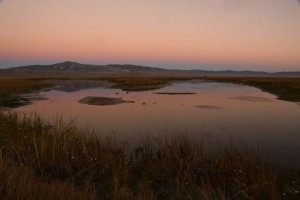 Ruby Lake N.W.R.