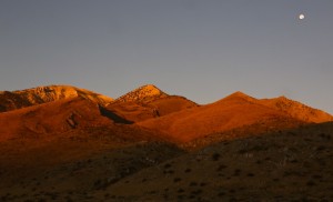 Ruby Mountains