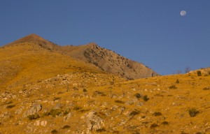 Ruby Mountains