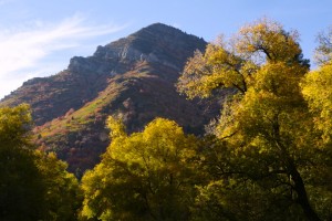 Mill Creek Canyon, UT