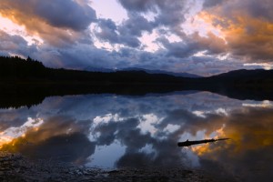 Grand Teton N.P.